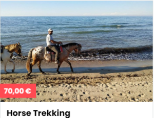 Horse trekking#https://maderabike.com/en/tour/horse-trekking/